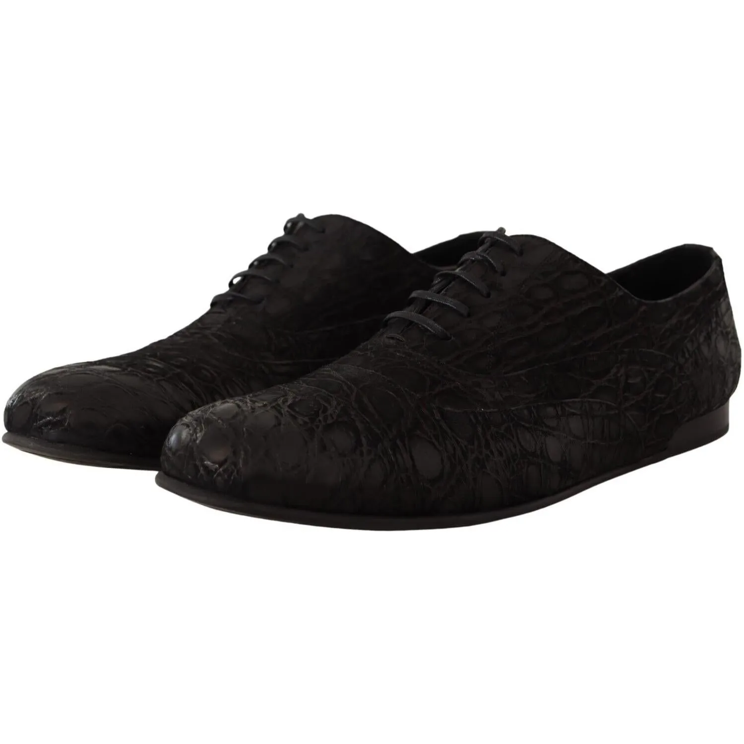 Dolce & Gabbana Elegant Exotic Leather Oxford Shoes