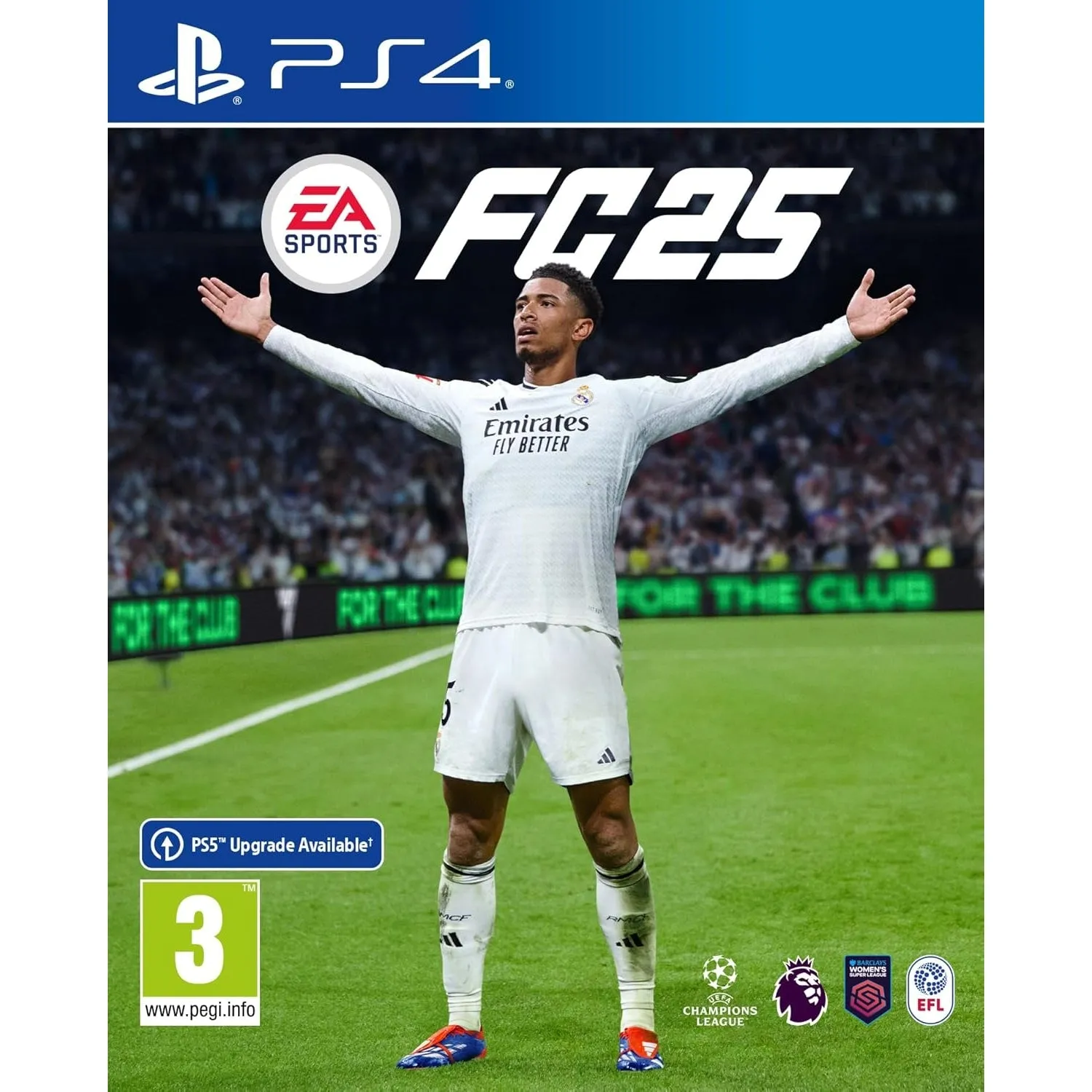 EA SPORTS FC 25 Standard Edition (Sony Playstation 4)