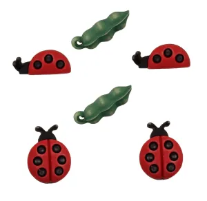 Ladybugs