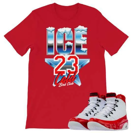 Retro 9 "Gym Red" Sneaker Shirt Ice Cold All Star