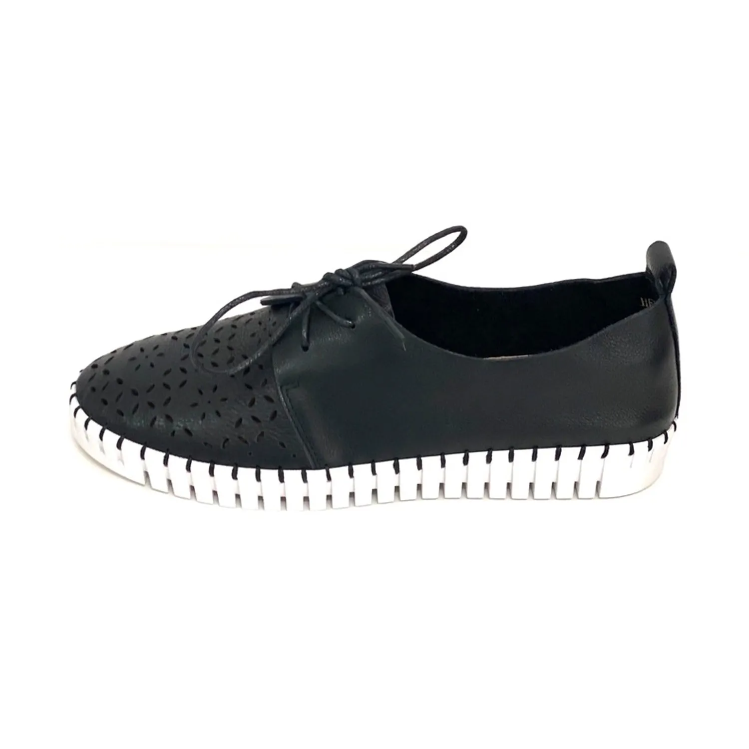 Shoe Hexter Black