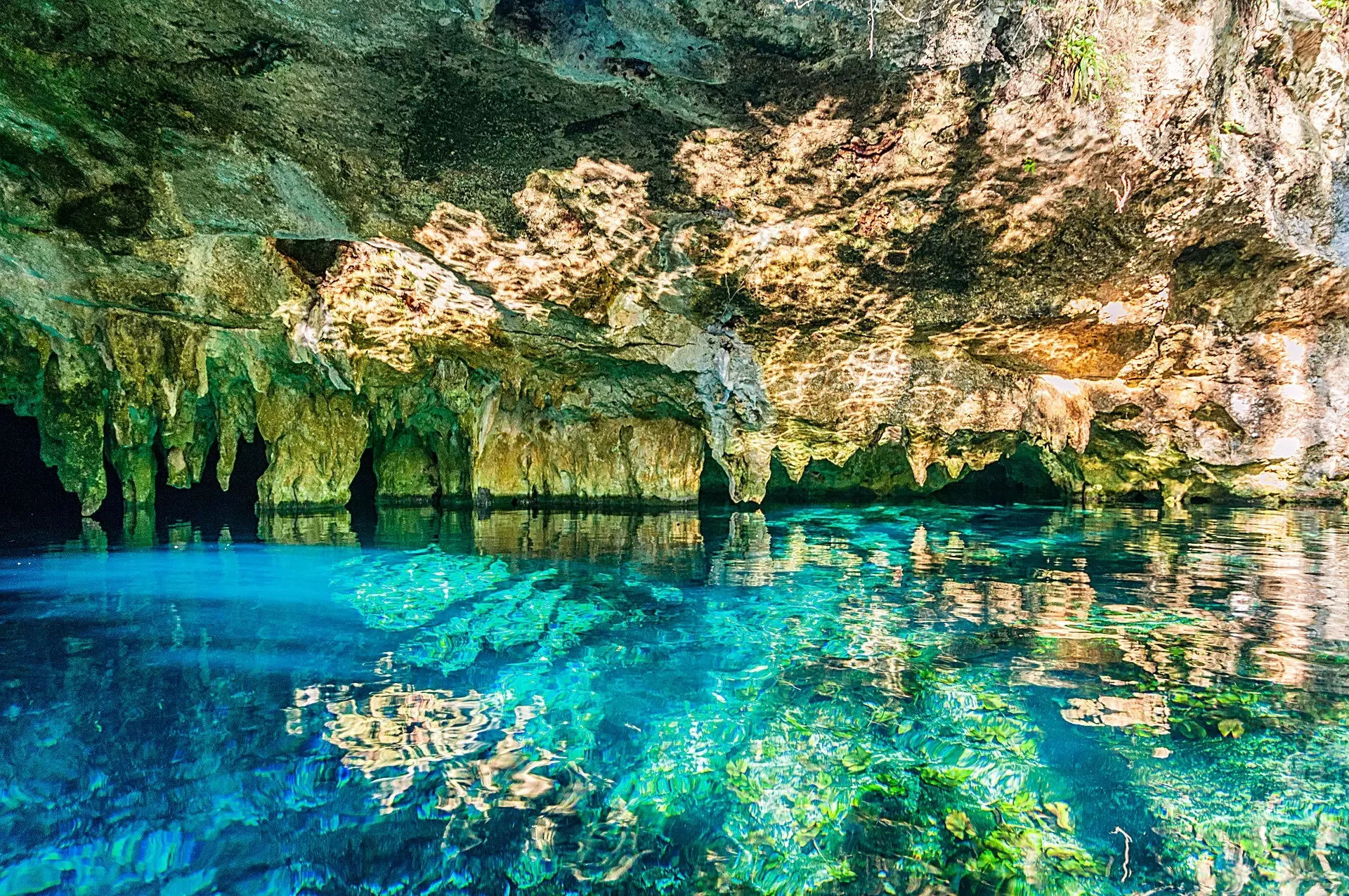 Tulum Aquatic Xplosion: Zip Lines, Rappel, ATV, and Cave Cenote Adventure